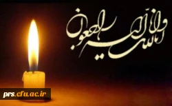 جناب آقای دکتر محسن لشنی  2