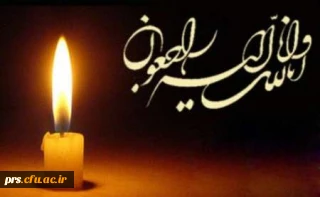 جناب آقای دکتر محسن لشنی