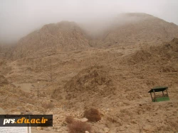 اردو شهمیرزاد1