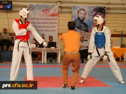 کسب دو مدال طلا ، یک مدال نقره و یک مدال برنز در المپیاد ورزشی دانشجو معلمان دانشگاه فرهنگیان سراسر کشور 11