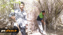 اردو جهادی روستا ایج