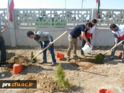 دانشجو معلمان و روز درخت کاری  3