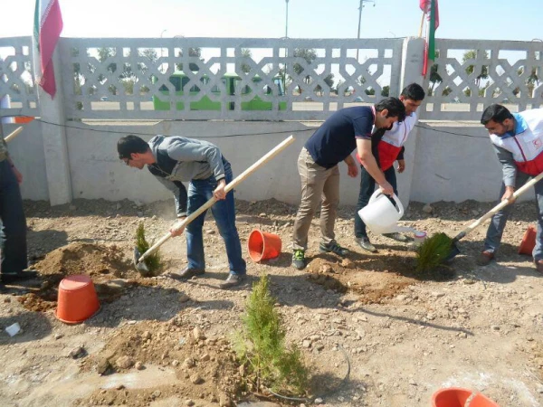 دانشجو معلمان و روز درخت کاری  3