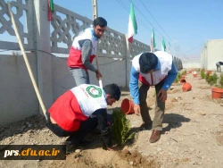 دانشجو معلمان و روز درخت کاری  4