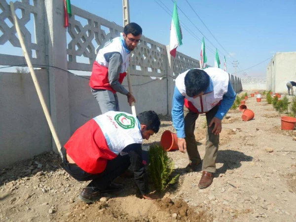 دانشجو معلمان و روز درخت کاری  4