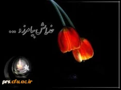 پیام تسلیت  2