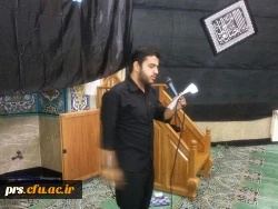 زیارت اربعین  2