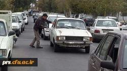 زیارت اربعین  5