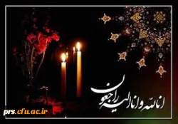 پیام تسلیت به آقای سید هادی سید حسینی 2