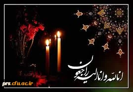 پیام تسلیت به آقای سید هادی سید حسینی