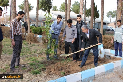 کانون سلامت و روز درختکاری در پردیس شهیدرجایی