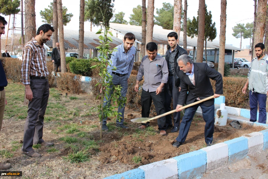 کانون سلامت و روز درختکاری در پردیس شهیدرجایی  2