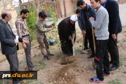 کانون سلامت و روز درختکاری در پردیس شهیدرجایی  3