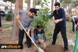 کانون سلامت و روز درختکاری در پردیس شهیدرجایی  6