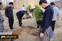 کانون سلامت و روز درختکاری در پردیس شهیدرجایی  4