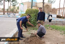 کانون سلامت و روز درختکاری در پردیس شهیدرجایی  5