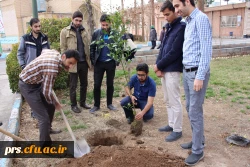 کانون سلامت و روز درختکاری در پردیس شهیدرجایی  7