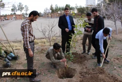 کانون سلامت و روز درختکاری در پردیس شهیدرجایی  9