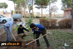 کانون سلامت و روز درختکاری در پردیس شهیدرجایی  8
