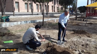 چهارشنبه های  جهادی و هفته درختکاری