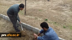چهارشنبه های  جهادی و هفته درختکاری  5