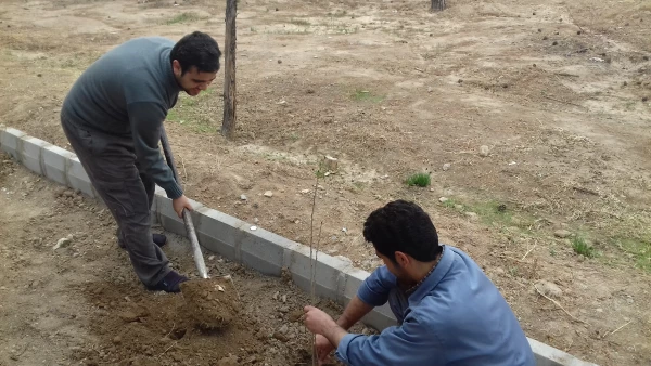 چهارشنبه های  جهادی و هفته درختکاری  5