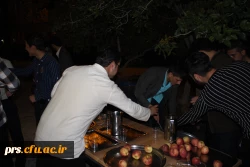 جشن نیمه شعبان  6