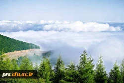 جنگل ابر شاهرود