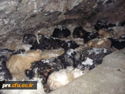 غار افتر سرخه