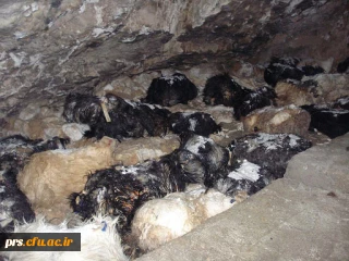 غار (مغار) افتر