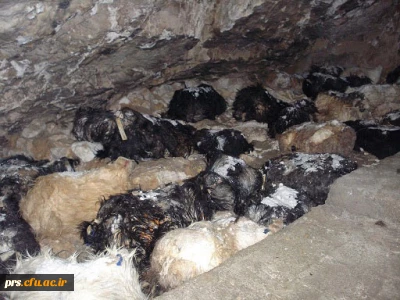 غار (مغار) افتر