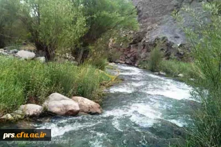 چشمه های لزوره آرادان