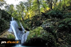 سیاه دره مهدیشهر