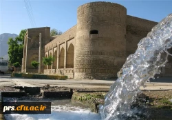 کارونسرا میامی