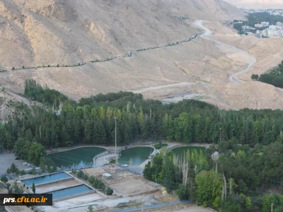 پارک آبشار شاهرود