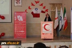 همایش مدیریت بحران با رویکرد آمادگی در برابر حوادث و سوانح 8