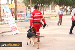 مانور پناه گیری و خروج اضطراری در هنگام زلزله 8