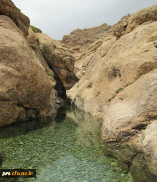 چشمه قلقل سمنان