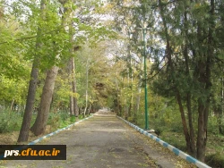 پارک شهدای محراب شاهرود