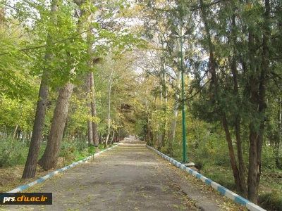 پارک شهدای محراب شاهرود