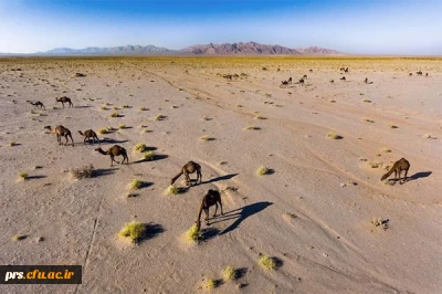 منطقه کویری طرود