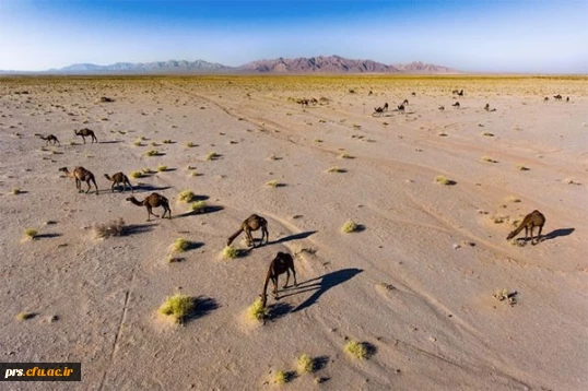 منطقه کویری طرود