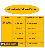 نشریه