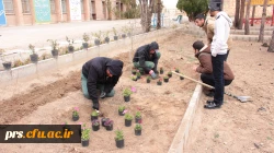 روز درختکاری در پردیسس شهید رجایی 7