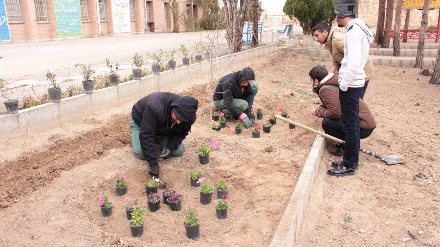 روز درختکاری در پردیسس شهید رجایی 7