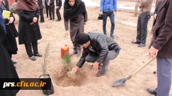 روز درختکاری در پردیسس شهید رجایی 9