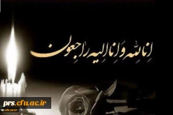 پیام تسلیت 2